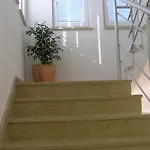 Oaza Regi * Μεντουλίν
